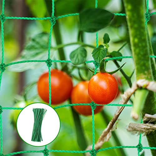 Plant Support Netting, Pea Netting with 50pcs Plant Ties, Plant Climbing Net, Nylon Trellis Mesh - for Climbing Plant, Bean Vegetables Fruits (2m x 5m)