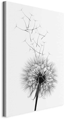 murando - Leinwandbild Blumen Natur grau, 40x60 cm, 1-teilig, Schlafzimmer