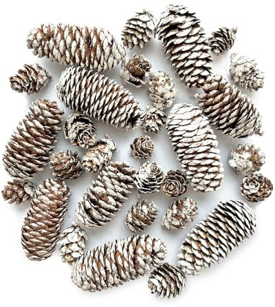 30 Stück Weihnachten Tannenzapfen, natürlichen Schnee Tannenzapfen Deko, Tannenzapfen für Weihnachtsbaum, adventskranz, Xmas DIY Crafts