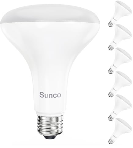 Sunco 6 Pack BR30 LED Bulb, Recessed Can Light Bulbs, Indoor Flood Lighting, 1600 LM, 16W (100W Equivalent) 6000K Daylight Deluxe, E26 Medium Base, Dimmable UL