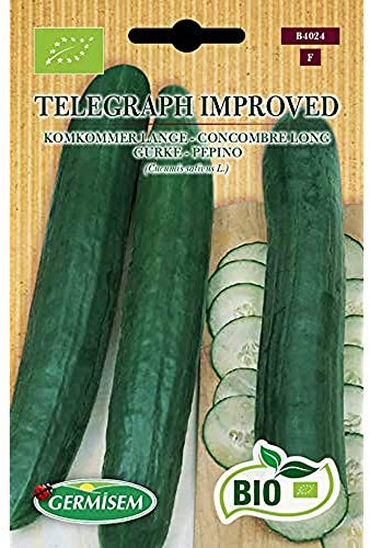 Germisem Biologico Telegraph Improved Semi di Cetriolo 5 g