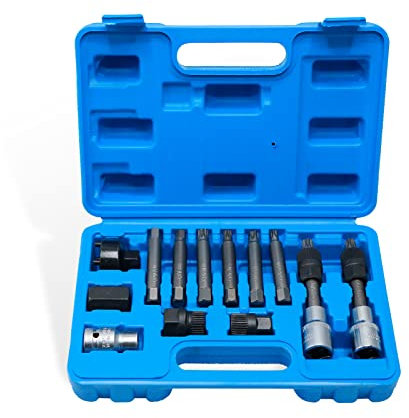 CCLIFE 13tlg Lichtmaschinen Werkzeug Satz 12.5 mm 1/2 Antrieb Lichtmaschinen Bit Freilauf Wechsel Steckschlüssel für diverse Fahrzeuge