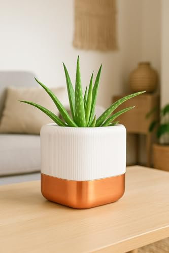 Genérico QUADRA – Maceta Autorriego de Diseño Elegante (Blanco & Cobre, 14x12x12 cm)