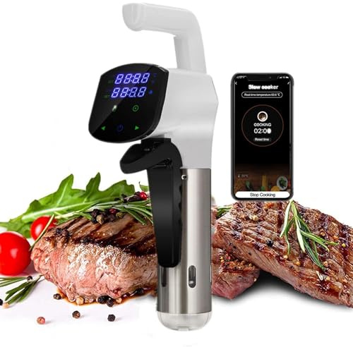 Machine Sous Vide, Circulateur à Immersion Thermique Wi-Fi, Température Précise de 25 °C à 92,5 °C, Parfaite pour Les Steaks Tendres, La Volaille, Les Fruits de Mer