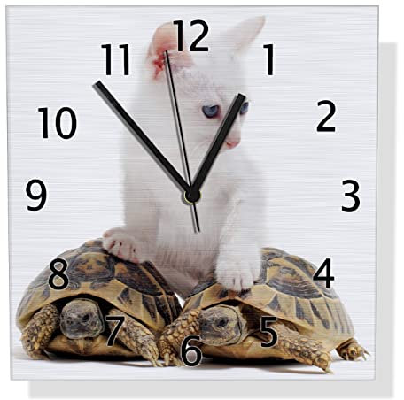 Wallario Design Wanduhr Katze auf Schildkröten aus Aluverbund, Alu-Uhr Größe 30 x 30 cm, Schwarze Zeiger mit Metalloptik