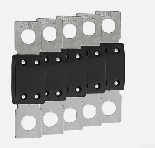 Mega-Sicherungssortiment, 60 A, 80 A, 100 A, 125 A, 200 A, 250 A, 300 A, 5 Stück Autosicherung (250 A)