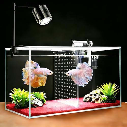 iPriro Fish Tank, 3 Gallon Ultra-Clear Glass Fish Aquarium, with Separator Plate for Betta, Fish Tank Starter kit with Filter and Adjustable Led Light, White