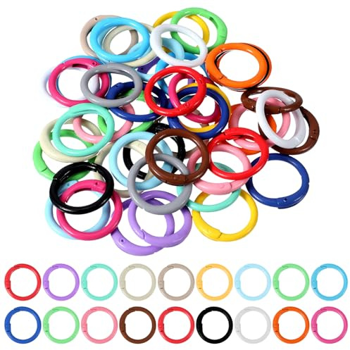 48 Stück Karabiner Rund, 24mm Ring Karabinerring Frühling, Mischfarben Schlüsselringe Ringe Schnalle, DIY Schlüsselanhänger Zubehö für Schlüsselanhänger Geldbeutel Bastelarbeiten (Rund)
