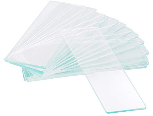 Levenhuk G50 1H Leere Objektträger mit 1 Hohlschliff, Hochtransparent mit Polierten Kanten für die Vorbereitung von Laborproben von Mikroorganismen