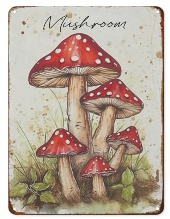 Simpatico cartello in metallo con fungo rosso, divertente, decorazione da parete vintage per casa, cucina, camera da letto, garage, giardino, bagno, bar, decorazione artistica rustica, 20 x 30 cm