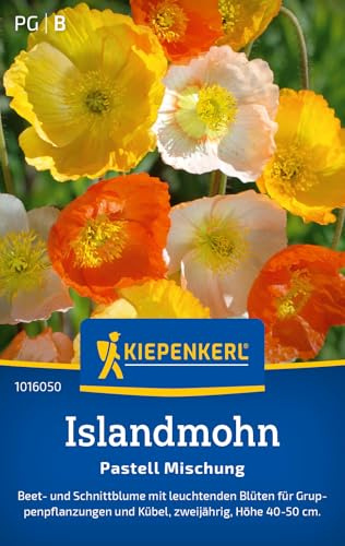 Kiepenkerl Islandmohnsamen Pastell Mischung 1016050, Blumensaat | Wuchshöhe 40-50 cm, Inhalt für 100 Pflanzen, Blüten in Weiß, einjährig