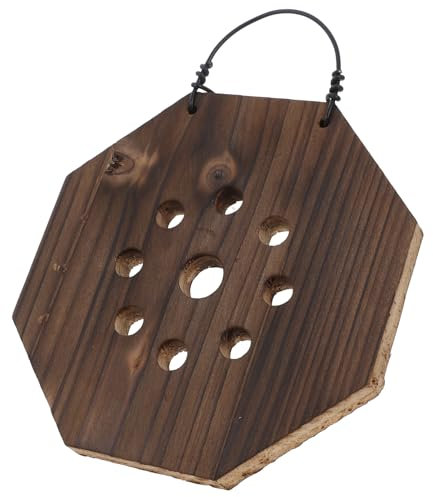 Mipcase Jardinière Suspendue pour Jardin Vertical Intérieur Jardinière Murale pour Orchidées Plantes Intérieur Succulentes