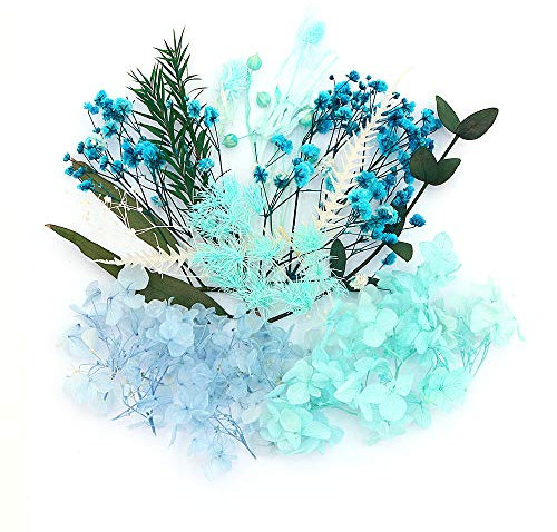 Shiwaki Artificial Flowers Simulation Flowers Preserved Dried Flower Plant DIY Candle Resin Jewellery Making Crafts Decor Shower Decorations for Home – Blue Mood