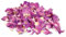 Pétalos de rosa secos naturales 100 g 100% flores naturales, flor real rosa roja seca (100 g)