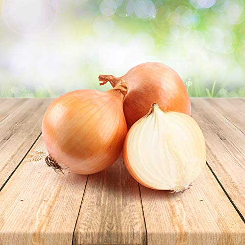 Oignon Jaune 250 x graines - Du Portugal 100% Naturel Sans Aide à La Culture Chimique Ni Génie Génétique, Juste de la Nature Pure