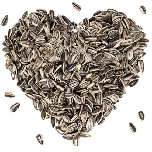 Lyra Pet® | 20 kg Gestreifte Sonnenblumenkerne | HK Bulgarien | Ganzjähriges Wildvogelfutter | Hochwertiges Streufutter für Wildvögel | Naturbelassener Gourmetsnack | Energie für Körnerfresser | Wildvogelfutter für Sommer & Winter - Ideal für freilebende Vögel - Ölreiches Streufutter - Kräftige & gesunde Schnäbel