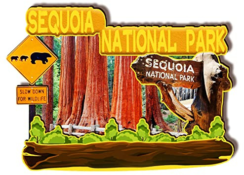 USA Sequoia National Park Holzmagnet, 3D-Kühlschrankmagnete, Reise, Sammlerstück, Souvenirs, Dekorationen, handgefertigtes Handwerk