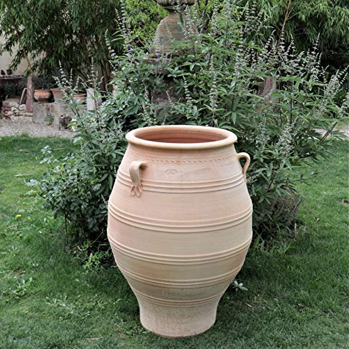 Palatina Werkstatt Terracotta Amphore Thymus 80cm - 100% Handgefertigtes Unikat - Exklusive winterfeste Amphore für den Garten- & Innenbereich