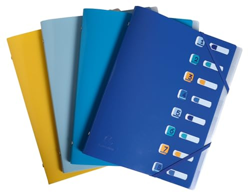 Exacompta - Ref. 56110E – Karton mit 10 Ordnungsmappen Bee Blue – mit Gummibändern und ausgeschnittenen Fenstern – Deckel und Innenseite aus recyceltem PP – 8 Fächer – für A4 – Maße: 25 x 32 cm –