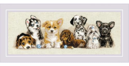 RIOLIS - Cuccioli 2221, Punto croce 40x15cm, Punto croce kit da ricamare, Disegni da ricamare, Embroidery kit, Set punto croce, Kit ricamo punto croce