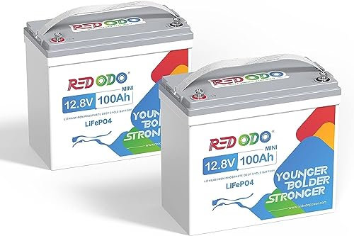 Redodo 12V 100Ah Mini (2 Pack Batterie Lithium，LiFePO4 Batterie Intégrée 100A BMS，1/2 de l'espace, 18% de Poids en Moins et Jusqu'à 15000 Cycles pour Camping-Cars, Hors Réseau Electrique