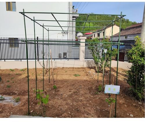 JLXJYS Gurkenspalier Großes DIY-Garten-Weinreben-Spalier für den Außenbereich, hohe Gurken-Stützpfähle für Kletterpflanzen, Terrassen-, Rasen-, Hof- und Weinberg-Dekor(2.1x2.1x2.4m(6.9x6.9x7.9ft))