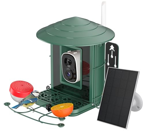 4UMOR Vogelfutterhaus mit Kamera - KI-Vogelerkennung Live-Beobachtung Automatische Aufnahme Solarbetrieb Metall Vogelfutter mit Eichhörnchensicher WLAN & Nachtsicht IP65 Wasserdicht 2K HD Video Smart