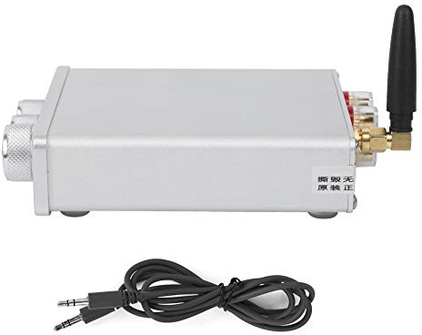 Mini amplificatore audio 100W Digital Stereo ad alta potenza Interfaccia stereo ad alta potenza Interfaccia HD senza perdita di suono in lega argentata portatile