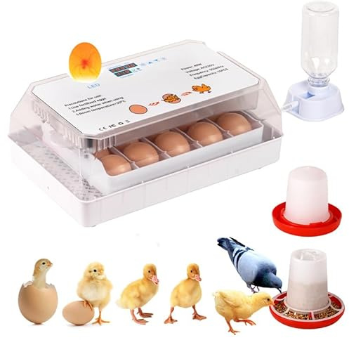 MUALROUS Incubadora de 15 huevos, máquina de incubación de huevos de gallina, mini equipo digital automático para incubar el hogar con luz LED, probador de velas de huevos y control de temperatura