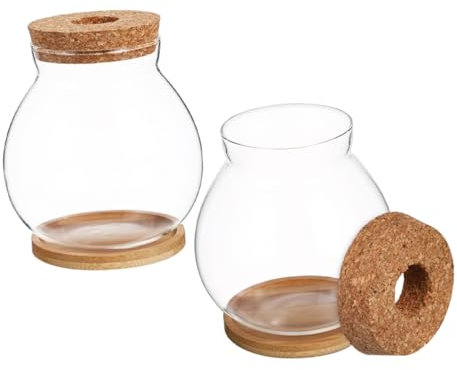 Abaodam 2sets Hydroponic Glass Vase Micro Landscape Ecosystem Desktop Planter Station for Propagating Plants Office Home Decor