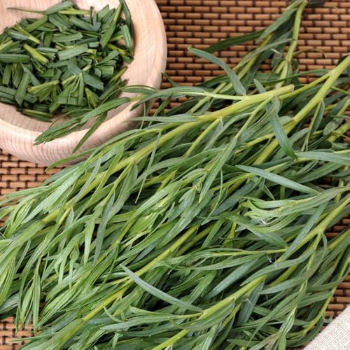Semillas de estragón orgánicas, semillas de silvestres exóticas jardín 250pcs