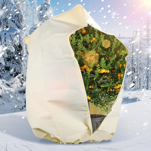 Sonnewelt 1 pièce de 200 x 240 cm, protection hivernale pour plantes, avec fermeture éclair et cordon de serrage, protection contre le gel pour les plantes en pot, l'hivernage et les arbres fruitiers