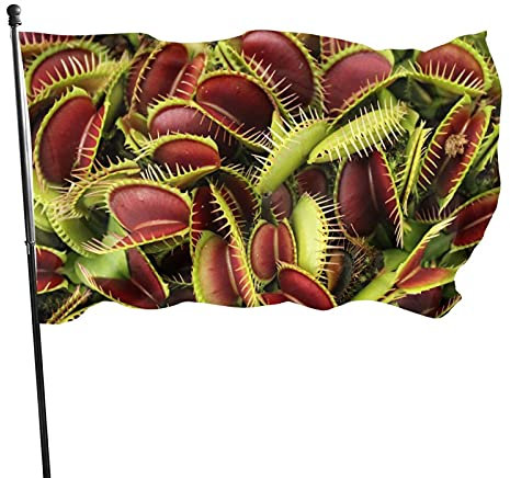 351 Drapeau 90x150cm, Plante Carnivore Tropicale Grand Drapeau Personnalisés Bannière Couleurs Vives Drapeaux, pour Jardin, D'Intérieur