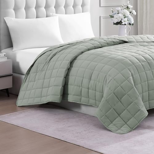 Casa Platino Pre-Washed Queen Size Blanket - Soft Quilted, Lightweight Duvet Insert - All Season Microfiber Down Alternative
