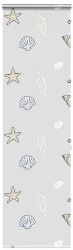 Jiangboyue-4015009 - Estor enrollable de ducha con casete (70 x 240 cm, ancho de tela 66 cm)