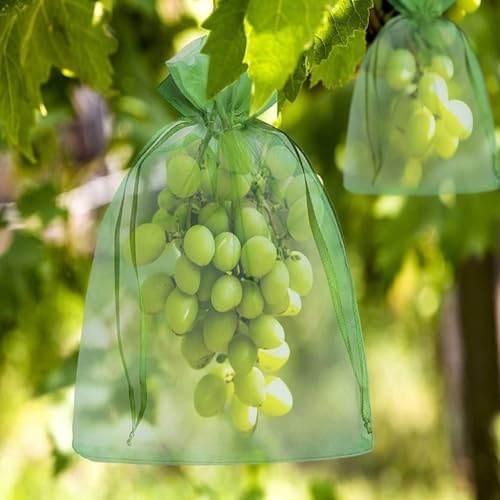 CINY 100 PCS sacchetti di protezione per la frutta, 15×20 cm, riutilizzabili, rete per verdure con barriera contro gli insetti, per alberi da frutta, fragole, prugne, ecc.