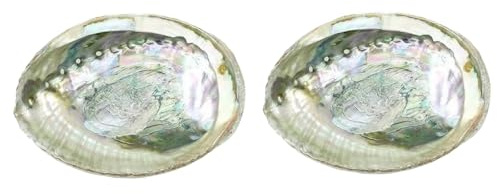 2 Pcs Colorful 4-4.5 Inch Abalone Shell Bowl Natural Smudge Bowl for Sage Burning and Incense Sea Shell Smudging Bowl for Decor and Display, Home Incense Holders Large
