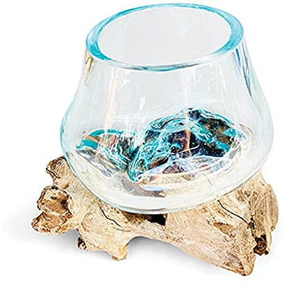 Schöne Glasvase mit einem Durchmesser von 11 cm, aufwendig auf eine Teakwurzel geblasen – ideal für Blumen oder ein Terrarium im Innenbereich – jedes Stück ist ein Unikat