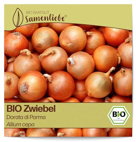 Samenliebe BIO Zwiebel Samen alte Sorte Dorata di Parma 200 Samen samenfestes Gemüse Saatgut für Gewächshaus und Freiland BIO Gemüsesamen