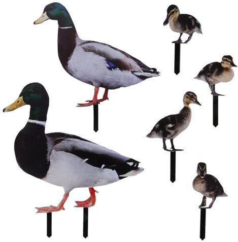 SEWOART 6St gartendekoration Einsatz Gartentierstatuen Schmuck Landschaft gefälschte Taube Teich bauernhoftiere naturdeko gartendeko rostoptik Enten Außendekorationen Hofschild Acryldekor