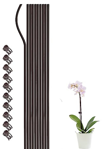 10 pali di supporto per piante con 10 clip per orchidee a stelo singolo, pali da giardino per piante rampicanti, 50 cm