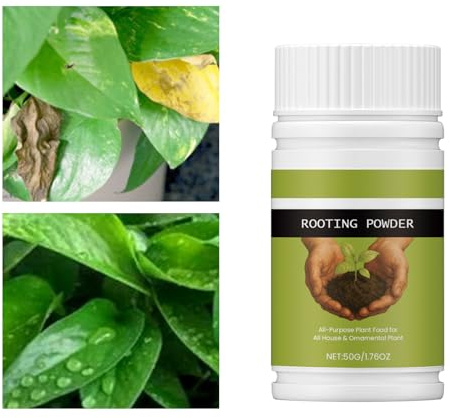 Lexsyn Polvere Radicante per Talee,50 g Assorbimento Rapido Solubile | Fertilizzante in Polvere per Rinvaso Piante - Adatto ad Arbusti Piante Grasse Agrumi Orchidee Ortensie Alberi da Frutto