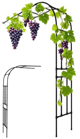 Arche de jardin en métal noir pour plantes grimpantes et roses – Treillis extérieur robuste facile à assembler Design demi-face (150 x 40 x 240 cm) pour un meilleur soutien du jardin