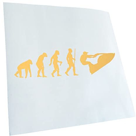 Kiwistar - Autoaufkleber - Jet-Ski Jetboot Evolution - goldchrom - 20x5,4cm - Heckscheibe Auto Aufkleber wetterfest für Kfz LKW Mofa Truck - Sticker außen selbstklebend Tuning Zubehör für Fenster