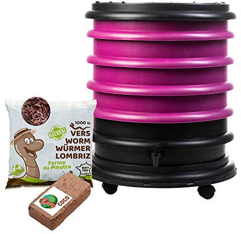 WORMbox | Wormery Worm Farm composter 4 Raspberry Trays + 500gr of Compost Worms / 1000 ctn + 1 Coco | 64 liters | Organic Waste Compost, make your Worm Castings