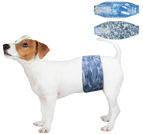 Dono Hundewindeln für Rüden, 24 Stück, Extrabreite Rüdenwindel, super saugfähig, auslaufsicher, Hunde Windeln Rüde für Inkontinenz, Reise, XS, S, M, L