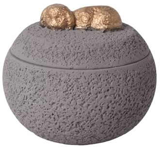 Boîte À Cendres pour Chien | Urne Funéraire Stable | Boîte Commémorative pour Chats Décorative