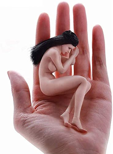 ZSMD 6 Female Seamless Action Figures Full Set-Silicone Body+Head+Underwear-1/12 Scale Super Flexible Female Dolls for Arts/Drawings/Photography (TBLeague T01A (Pale))