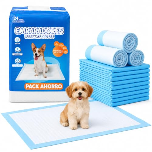 BESCH Empapadores para Perros de Alta Absorción con Base Adhesiva – Almohadillas Higiénicas para Cachorros y Adultos, Control de Olores, Antideslizantes, Entrenamiento Fácil (60x90cm, 100 Unidades)