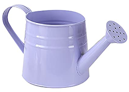 Pastoral Style Colorful Tin Flower Pot Mini Bonsai Watering Can Succulent Purple Watering Can Indoor